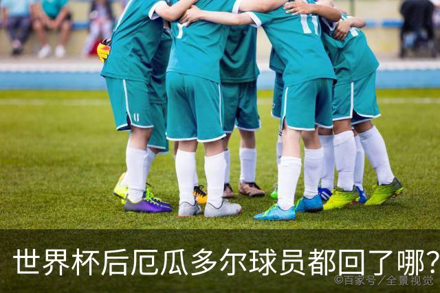 世界杯后厄瓜多尔球员都回了哪？输给墨西哥后他们各归其主