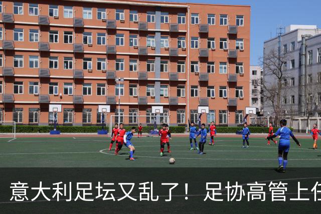 意大利足坛又乱了！足协高管上任仅16天闪电辞职，皮尔洛执教受阻